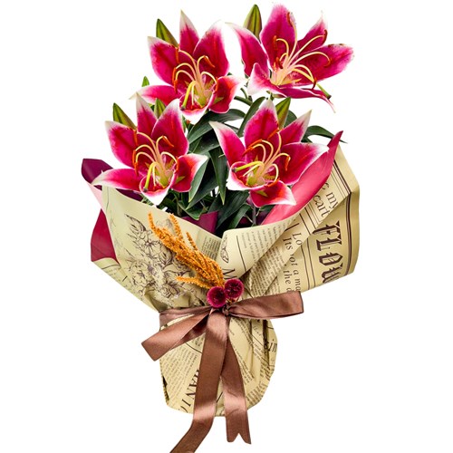 Pembe Lilyum Çiçeği (Lilium) Hediye Paketli