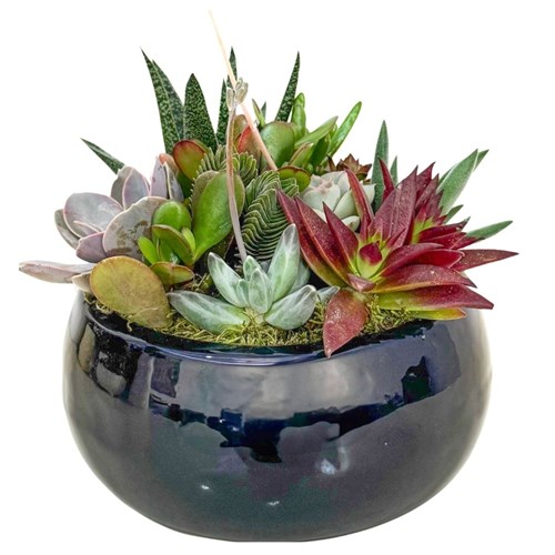 Hediye Mix Aranjman – Elegan Bahçe