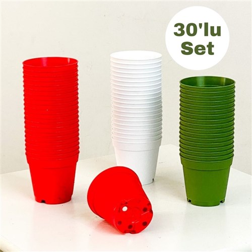 Kaktüs Sukulent Yetiştirme Saksısı (Karışık Set)