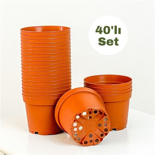 Kaktüs ve Sukulent Yetiştirme Saksısı 8.5cm (Set)