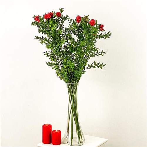 Kokina - Yılbaşı Çiçeği Cam Vazolu