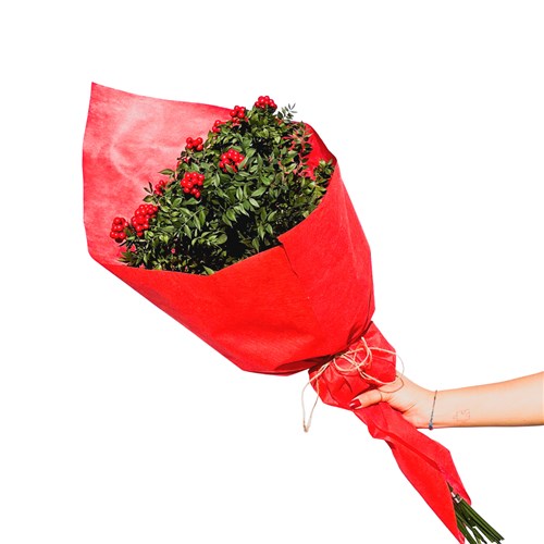 Kokina - Yılbaşı Çiçeği Demeti