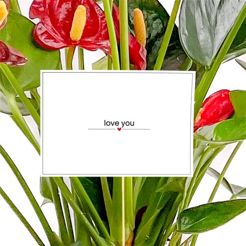 Love You - Tebrik Kartı