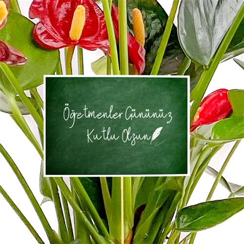 Öğretmenler Günü - Tebrik Kartı