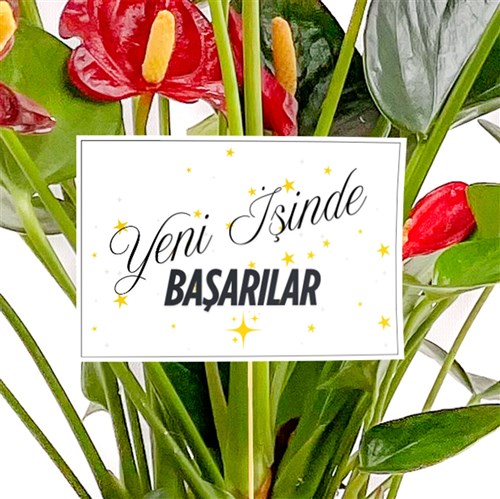 Yeni İş/Terfi - Tebrik Kartı