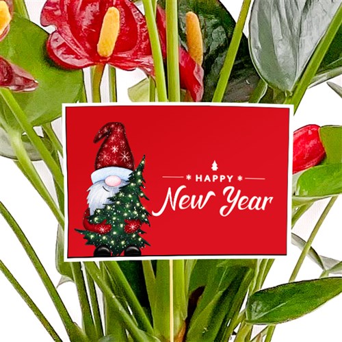 Yeni Yıl Hediyesi - Tebrik Kartı