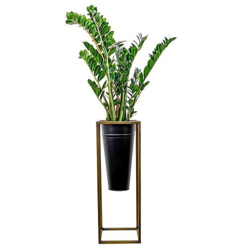 Zamia Large (Zamioculcas Zamiifolia) Ayaklı Siyah Metal Saksılı