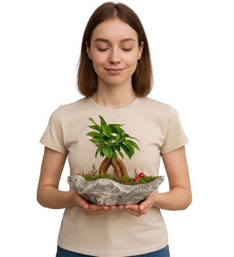 Doğal Taş Görünümlü Saksıda Bonsai