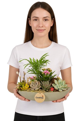 Kalanchoe Çiçekli Sukulent Bahçesi