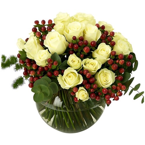 White Roses Hiperikum Serisi