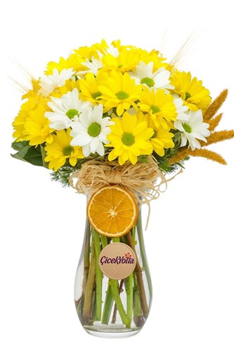 Yellow Daisy Arrangement